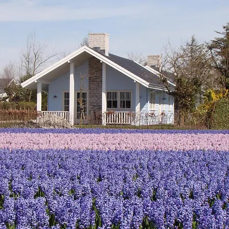 Near Dutch Coast & Forest * Noordwijk