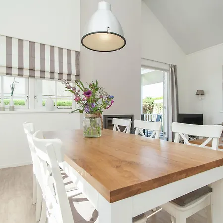 Near Dutch Coast & Forest Vakantiehuis