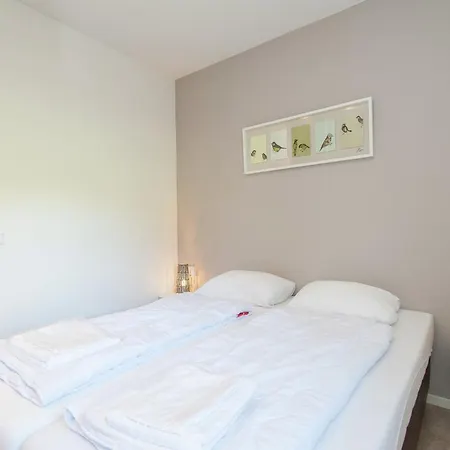 Near Dutch Coast & Forest * Noordwijk