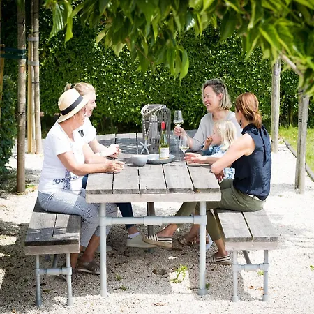 Near Dutch Coast & Forest Noordwijk