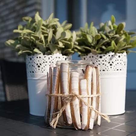 Holiday home Near Dutch Coast & Forest *