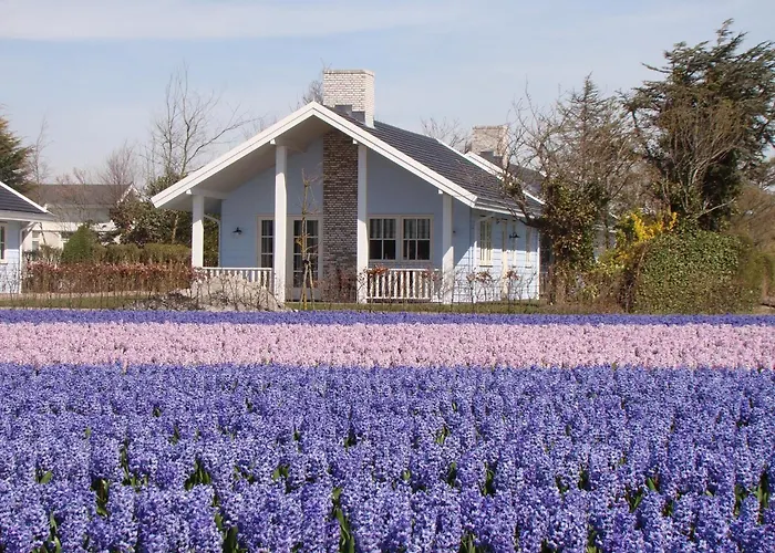 Near Dutch Coast & Forest * נורדוויק