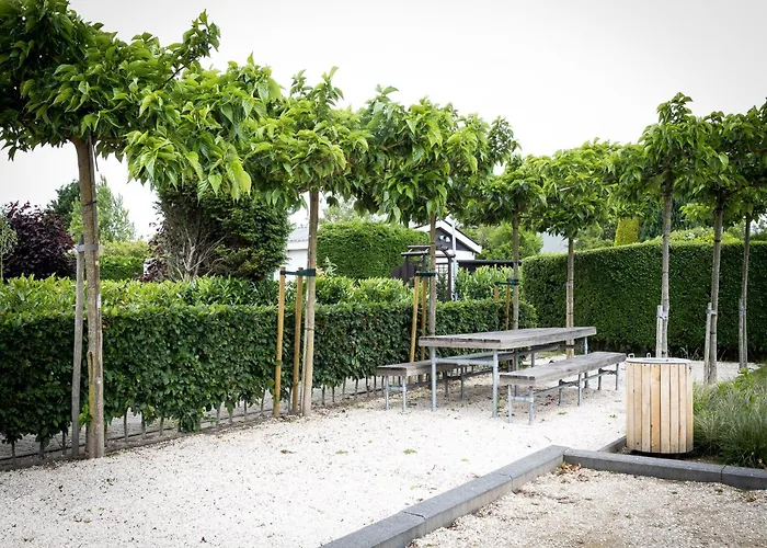 Near Dutch Coast & Forest * נורדוויק