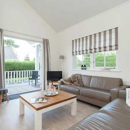 Near Dutch Coast & Forest *