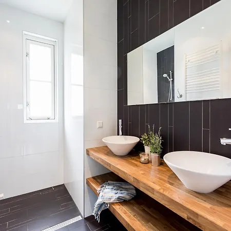 Near Dutch Coast & Forest