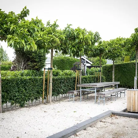 Near Dutch Coast & Forest * Noordwijk