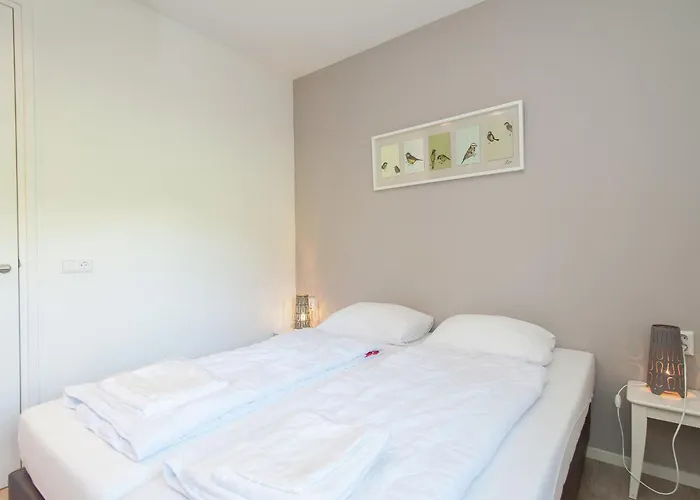 Near Dutch Coast & Forest * Noordwijk