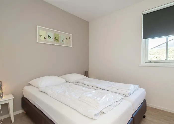 Near Dutch Coast & Forest *